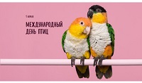 1 апреля 2024 г. Любопытные факты об удивительных особенностях птиц. Старобжегокайская СБ